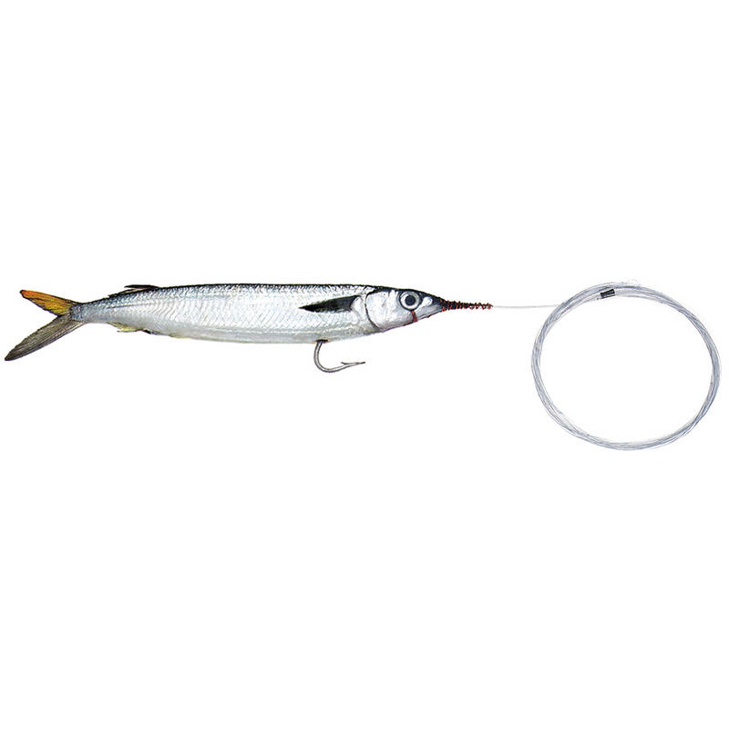 Trailer Hook (Spearpoint) – Fish or Die Bait Company