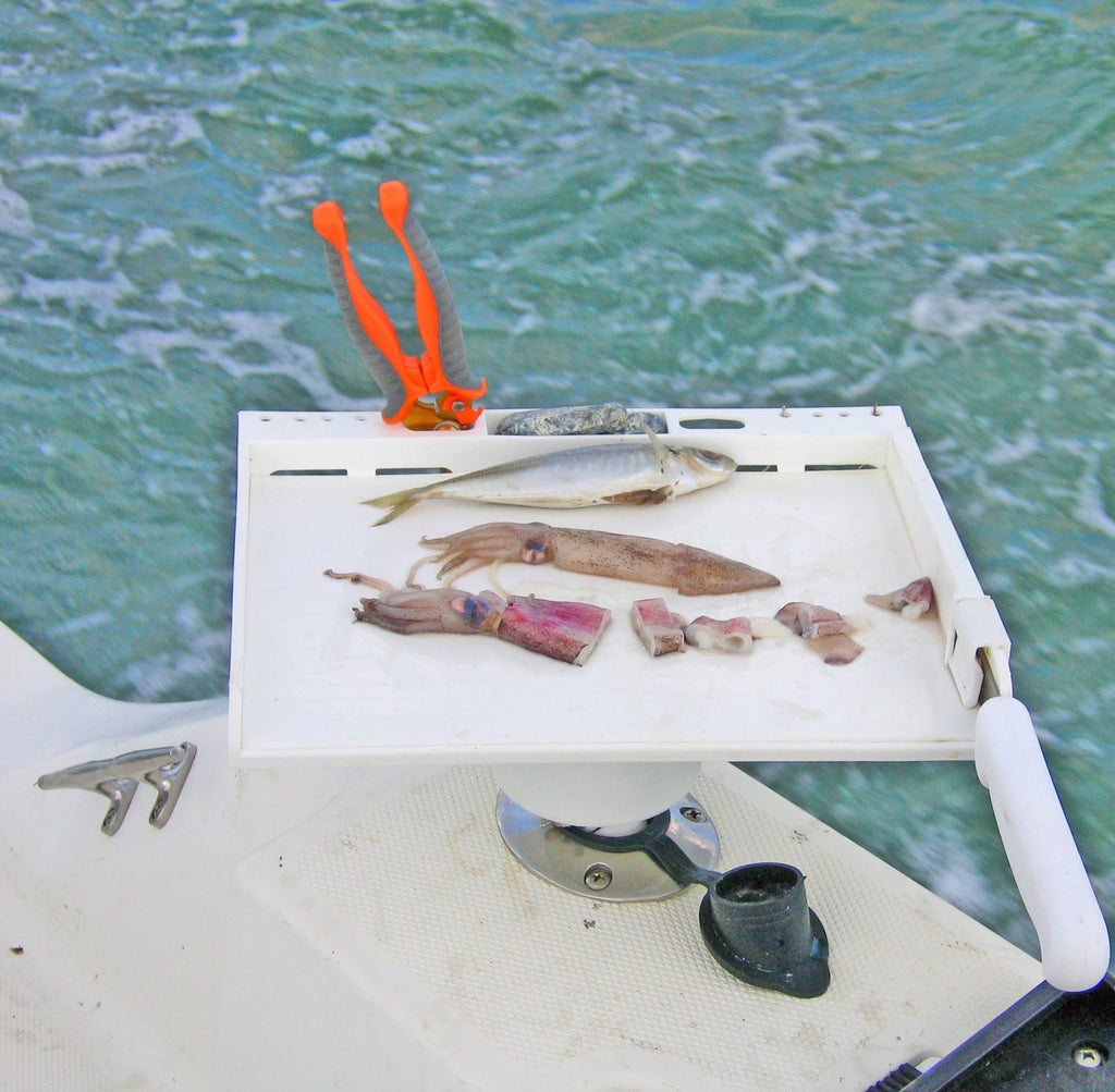 Bait Boards, Rod Holders, Accessories